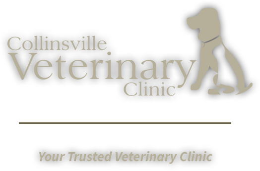 Collinsville Veterinary Clinic