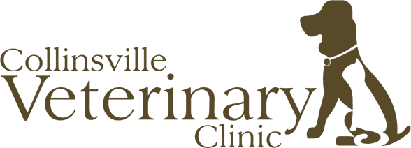 Collinsville Veterinary Clinic